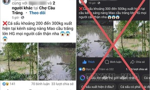 Triệu tập thanh niên đưa tin bịa đặt về cá sấu 'khổng lồ'