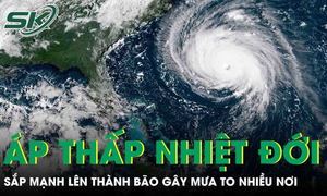 Áp thấp nhiệt đới sắp mạnh lên thành bão ở Nam Thái Bình Dương cảnh báo mưa to nhiều nơi