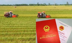 Quy định chi tiết việc người dân chỉ nộp 30% tiền chênh lệch khi chuyển đất nông nghiệp sang đất ở từ 2026