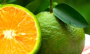 5 loại trái cây giàu kali hỗ trợ kiểm soát và giảm huyết áp tự nhiên