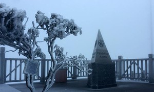 Băng phủ trắng đỉnh Fansipan trong ngày Giáng sinh 2025