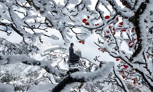 Khách du lịch có thể 'săn tuyết' vào dịp nghỉ Tết Dương lịch