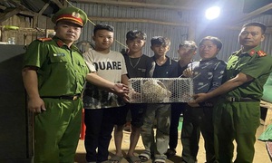 Nhiều động vật hoang dã nguy cấp được người dân tự nguyện giao nộp, thả về tự nhiên