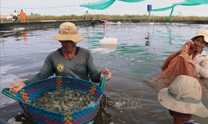 Quy định mới về đối tượng không chịu thuế giá trị gia tăng