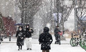Hàn Quốc: Ban bố cảnh báo thảm họa do tuyết rơi dày đặc