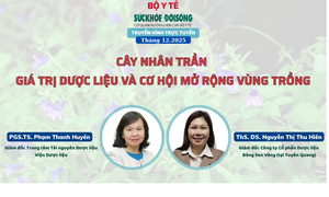 Truyền h&#236;nh trực tuyến: C&#226;y nh&#226;n trần – Gi&#225; trị dược liệu v&#224; cơ hội mở rộng v&#249;ng trồng