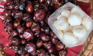 Củ năng (củ m&#227; thầy) c&#243; t&#225;c dụng g&#236;?