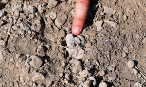 Hóa thạch bàn chân 3,4 triệu năm tuổi có thể viết lại lịch sử tiến hóa loài người