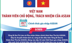 Việt Nam là thành viên chủ động, trách nhiệm của ASEAN