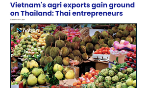 Báo Thái Lan: Nông sản nước này sẽ sớm bị Việt Nam vượt mặt