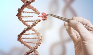 Bệnh nhân đầu tiên được điều trị bằng kỹ thuật chỉnh sửa gene cá nhân hóa