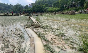 Mưa lớn gây thiệt hại nghiêm trọng ở Bắc Kạn, Hà Giang, Tuyên Quang