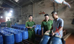 Khởi tố chủ cơ sở đã bán hơn 60 tấn giá đỗ 'ngậm' chất kích thích ra thị trường