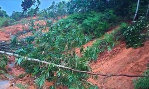 Hà Giang: Mưa lớn gây sạt lở nghiêm trọng, nhiều tuyến đường bị chia cắt cục bộ
