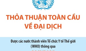 Thỏa thuận toàn cầu về đại dịch