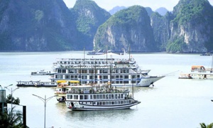 Vì sao tàu du lịch Thịnh An 88 bị dừng hợp đồng neo đậu trên vịnh Hạ Long 7 ngày?