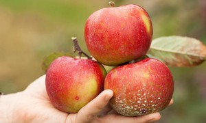 Nhóm thực phẩm tự nhiên giúp hạ huyết áp an toàn