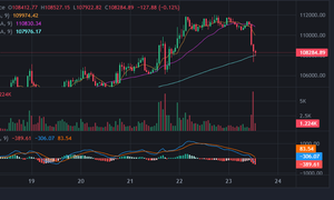 Bitcoin quay đầu lao dốc sau khi lập đỉnh cao nhất mọi thời đại