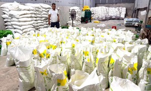 Công an Đồng Nai phát hiện doanh nghiệp sản xuất phân bón dấu hiệu giả quy mô lớn