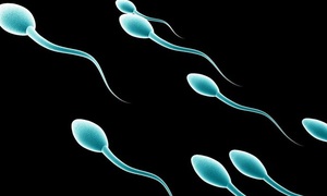 Bê bối người hiến tinh trùng mang gene gây ung thư làm cha của 52 trẻ em tại Bỉ