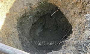 Phát hiện một con voi con chết dưới giếng thuộc Khu Bảo tồn thiên nhiên - văn hóa Đồng Nai