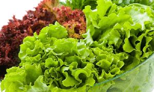 4 trường hợp không nên dùng xà lách