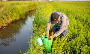 Cấp thiết nâng cao nhận thức, giảm thiểu rủi ro từ thuốc bảo vệ thực vật