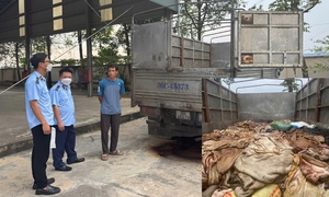 Bắt giữ gần 5 tấn da trâu, bò không rõ nguồn gốc
