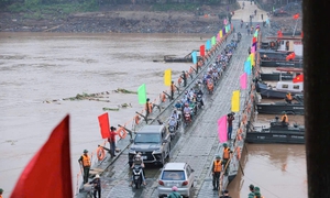 Tạm dừng hoạt động cầu phao Phong Châu do lũ thượng nguồn