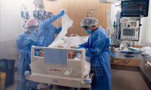 Giải mã lý do COVID-19 gây tổn thương kéo dài trong cơ thể