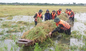 Những hình ảnh thắm tình quân dân trong đợt mưa lũ bất thường giữa mùa hè