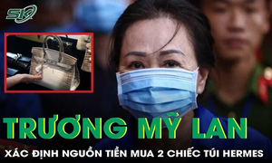 Tòa nhận định 2 chiếc túi Hermes của Trương Mỹ Lan được mua từ nguồn tiền nào?