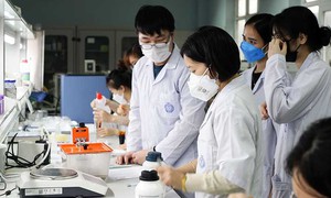 10 đại học Việt Nam trong Bảng xếp hạng đại học thế giới