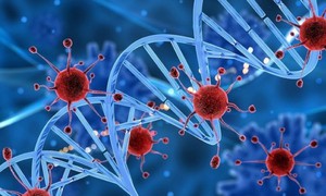 Nga bắt đầu thử nghiệm lâm sàng vaccine ung thư