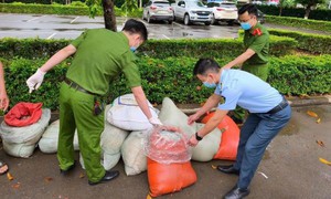 Sơn La: Phát hiện gần 1 tấn nội tạng động vật trong tình trạng phân hủy trên đường vận chuyển về Hà Nội tiêu thụ