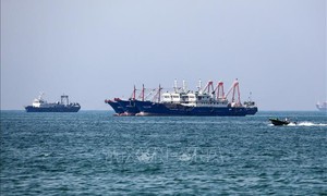 EU cảnh báo hậu quả 'cực kỳ nguy hiểm' nếu Eo biển Hormuz bị đóng cửa