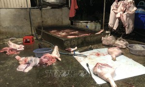 Chặn thực phẩm bẩn, kiểm soát tận khâu giết mổ
