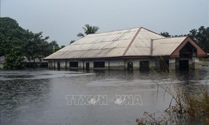 Số nạn nhân thiệt mạng trong thảm họa lũ quét tại Nigeria vượt 200 người