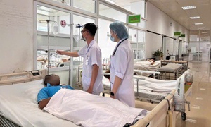 Nhiều người nhập viện sau khi ăn lẩu có nấm hái từ rẫy