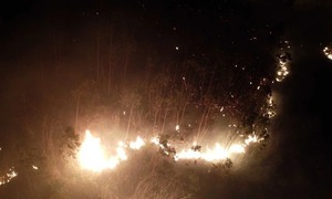Nghệ An: Đang cháy rừng lớn trên núi Bàn Cờ, hàng trăm người tham gia dập lửa