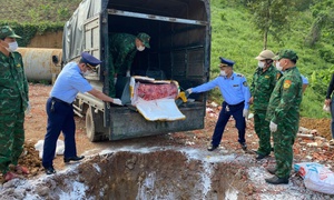 Cao điểm đấu tranh, Quảng Trị chặn đứng nhiều vụ vận chuyển hàng lậu vùng biên