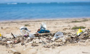 Ngày Môi trường thế giới năm 2025: Tài nguyên đa dạng sinh học biển có thể biến mất nếu không hạn chế rác thải nhựa
