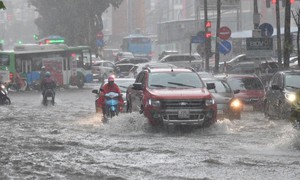 Mưa lớn xối xả, Bộ Nông nghiệp và Môi trường hướng dẫn kỹ năng ứng phó