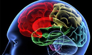 Trung Quốc đình chỉ phương pháp phẫu thuật điều trị Alzheimer phổ biến