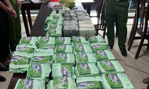 Nghệ An phá đường dây ma túy xuyên quốc gia, thu giữ 60 bánh heroin