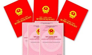 Luật Đất đai 2024: Đất chưa có giấy tờ, đất vi phạm vẫn được xem xét cấp sổ đỏ