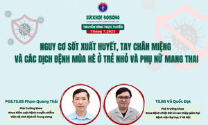 Truyền h&#236;nh trực tuyến: Nguy cơ sốt xuất huyết, tay ch&#226;n miệng v&#224; c&#225;c dịch bệnh m&#249;a h&#232; ở trẻ nhỏ v&#224; phụ nữ mang thai