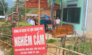 Xử lý nghiêm hành vi giấu dịch, vứt xác lợn bệnh ra môi trường