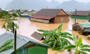 Bộ Nông nghiệp và Môi trường hướng dẫn cách ứng phó với bão