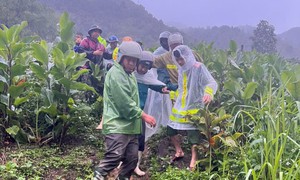 Lai Châu: Sạt lở đất đá trên Quốc lộ 4D khiến một người tử vong